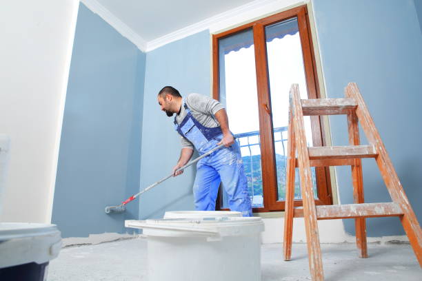 Best Black Mold Removal  in Andale, KS