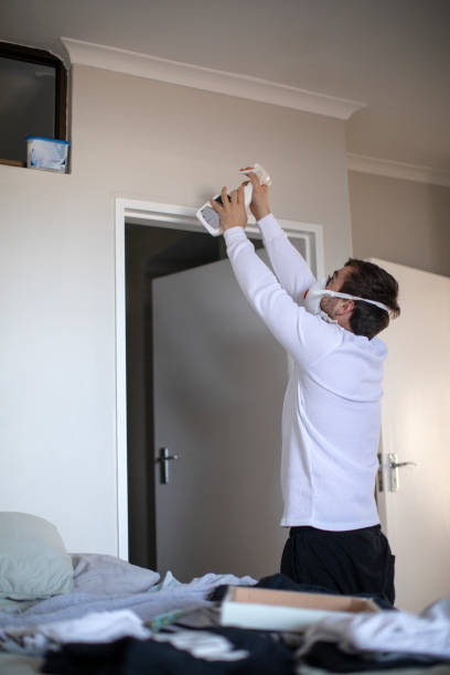 Best Forensic Mold Investigation  in Andale, KS