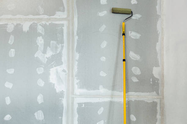 Best Post-Remediation Verification Testing  in Andale, KS