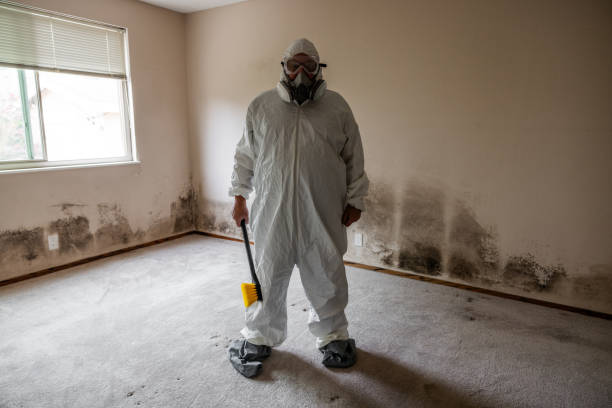 Best Commercial Mold Inspection  in Andale, KS