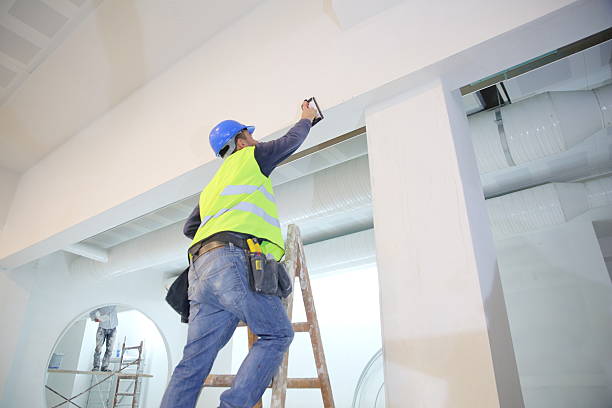 Best Mold Removal for HVAC Installations  in Andale, KS