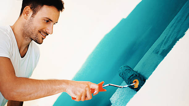 Best Mold Damage Restoration  in Andale, KS