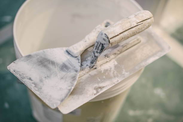 Best Mold-Related Health Consultation  in Andale, KS